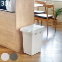 ゴミ箱 33L 連結 屋内外兼用 片手で開く連結ダストボックス HOME&HOME ( ごみ箱 33リットル 屋外 屋内 兼用 ふた付き 分別 シンプル 大容量 連結ダストボックス 袋止め付き 角型 外用 屋外用 無地 ベーシック )【3980円以上送料無料】(3)