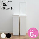 ゴミ箱 40L SOLOW 袋の交換が楽なダストボックススリム 同色2個セット （ ソロウ ごみ箱 40リットル ふた付き スリム 袋交換 簡単 分別 同色 2個セット 防汚加工 抗菌加工 キャスター付き シンプル ホワイト ブラック 日本製 ）【3980円以上送料無料】