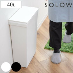 ゴミ箱 40L SOLOW 袋の交換が楽なダストボックスワイド