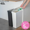 ゴミ箱 40L SOLOW 袋の交換が楽なダストボックスワイド （ ソロウ ごみ箱 40リットル ふた付き ワイド 袋交換 簡単 分別 防汚加工 抗菌加工 キャスター付き シンプル ホワイト ブラック 日本製 ）【3980円以上送料無料】