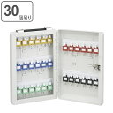 キーボックス 30個吊 壁掛け 壁掛け 携帯 兼用 2WAY 持ち運び ( 送料無料 ケース 大型 鍵 保管 セキュリティ ボックス 管理 キーフック 鍵掛け ...