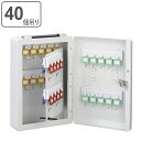 キーボックス 40個吊 壁掛け 壁掛け 携帯 兼用 2WAY 持ち運び ( 送料無料 ケース 大型 鍵 保管 セキュリティ ボックス 管理 キーフック 鍵掛け ...