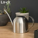 ジョーロ ドーム L 約960ml 水差し ( ジョウロ じょうろ 如雨露 散水 水やり 水さし おしゃれ ミニ 水挿し 観葉植物 ピッチャー ステンレス ステ...