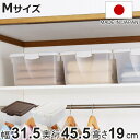 収納ボックス ハコス Mサイズ ふた付き 棚上 ( 収納ケース 収納BOX ボックス ケース 箱 ハコ クローゼット 収納 衣類 おもちゃ箱 プラスチック おも...