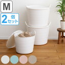 バスケット 収納 ふた付き Mサイズ squ+ バルンバ ソフトバスケット 日本製 同色2個セット ( 収納バスケット おもちゃ入れ ランドリーバスケット フタ...