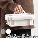 収納ボックス ナチュラトラックス 幅24.5×奥行17.2×高さ9cm 24S フタ付き ( コンテナボックス 収納 持ち手 カラーボックス インナーボックス ...
