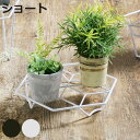プランタースタンド のせるんです fit ショート ( プランター スタンド 高さ5cm フラワースタンド ガーデニング用品 花台 鉢置き 園芸 鉢台 庭 ベランダ テラス エントランス ガーデニング スチール製 アンティーク風 )【3980円以上送料無料】