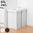 ゴミ箱 40L 組み立て ダンボール 2台入り ( ごみ箱 40リットル 2個入り段ボール ふた付き スリム 分別 簡易 アウトドア 使い捨て 屋内 屋外 コン...