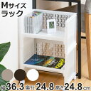 最大400円OFFクーポン有！ ラック M 幅36.3×奥行24.8×高さ24.8cm e-ラック 調味料ラック （ 収納ラック ペットボトル 収納 キッチンストッカー ペットボトル収納 スタッキング 積み重ね プラスチック キッチン収納 シンク下収納 ）