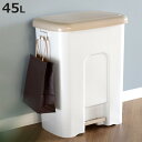 ゴミ箱 45L ペダルペール ( 45 リットル 45l ふた付き キッチン ごみ箱 ペダル式 分別 袋止め フック 横開き ポリ袋 レジ袋 フタ 取り外し可能...