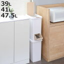 ゴミ箱 39L 分別 二段 ダストボックスファイン ( ごみ箱 38リットル 41リットル 47.5リットル 縦型 スリム 2分別 ふた付き プッシュ式 省スペース シンプル ダストボックス 袋止め付き 袋が見えにくい キッチン )【3980円以上送料無料】