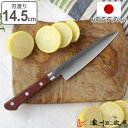 ペティナイフ 14.5cm 濃州正宗 日本製 洋包丁 モリブデン鋼 天然木 ( 包丁 果物包丁 果物ナイフ 小型包丁 ナイフ 14.5センチ 145mm 小型ナ...