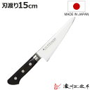 骨透包丁 刃渡り15cm 濃州正宗作 プロフェッショナル10A 日本製 ( 骨スキ包丁 骨透包丁 サバキ包丁 解体包丁 骨透き 骨スキ 日本製 15センチ 肉 魚 解体 捌く AUS-10 切れ味抜群 長持ち 調理器具 キッチンナイフ )【3980円以上送料無料】