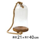 ガーデン オーナメント ガラス 高さ40cm ( 送料無料 ガーデン雑貨 インテリア 雑貨 ガーデニング 室内 フラワーアレンジ 観葉植物 植物 ドライフラワー プリザーブドフラワー お花 花 インテリア雑貨 DIY )【3980円以上送料無料】