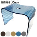 風呂椅子 風呂イス チェッカーN バスチェア LLサイズ 高さ35cm ( 風呂いす バスチェアー アクリル 風呂 バスグッズ 座面高35 お風呂椅子 お風呂イ...