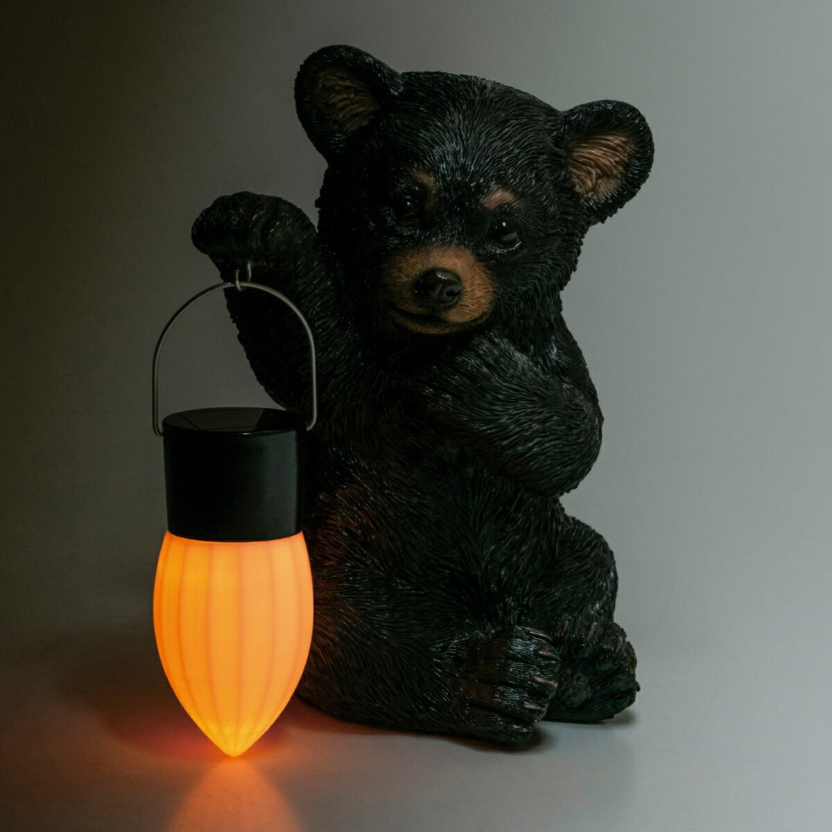 �����ǥ󥪡��ʥ��� ��ȥ�٥� ����� �����顼�����ʥ��� �����󥵡� LED �� ����̵�� �����ǥ�饤�� ���֥��� ưʪ �����ʥ��� �����顼�饤�� �����ǥ󥪥֥��� �饤�� �� ��3980�߰ʾ�����̵����