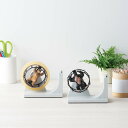 テープディスペンサー 動物 ( テープ カッター テープカッター台 セロハンテープ台 文房具 ステーショナリー インテリア デスク 机 オフィス かわいい ) ...