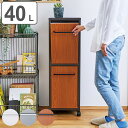 ゴミ箱 40L 20L×2分別 トラッシュダブル ( ごみ箱 20L 2分別 40リットル スリム フラップ式 おしゃれ インテリア 分別 ふた付き 袋 見えな...