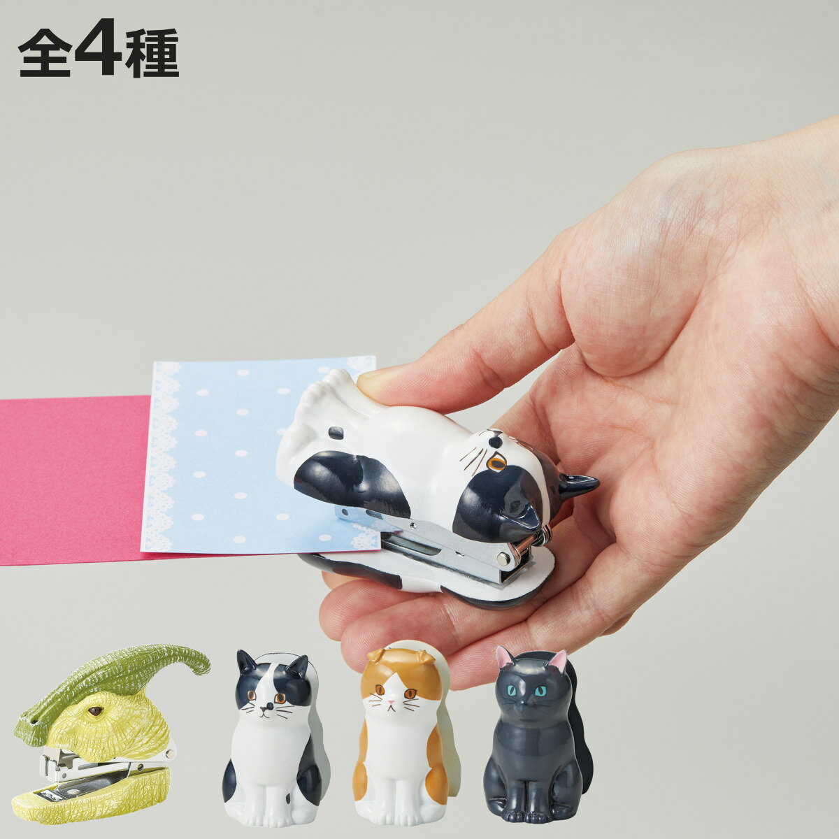 ���ơ��ץ顼 �ۥå����� ��ε ���� �ͥ� ʸ˼�� �� �ۥ����� ��̳���� ���ե��� ʸ�� ��� ���� ���� �ץ쥼��� ������ �������� ���ơ�����ʥ꡼ ��...