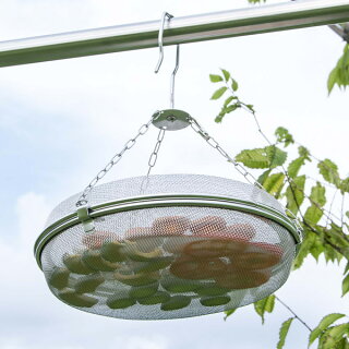 干し椎茸がカビてるが食べてもいい カビさせない保存方法って 気になるコトあれこれ