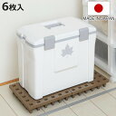 すのこ ジョイントパレット 30×30cm 6枚入り ( スノコ プラスチック 連結 押し入れ クローゼット 日本製 耐荷重300kg パレット 湿気 カビ 対...