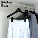 ハンガー BestLine ジャケットビッグクリップ40 ジャケットハンガー 5本組 ( スーツ用ハンガー 肩幅40cm M 5本 ビッグクリップ 日本製 スー...