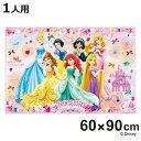 レジャーシート 60×90cm プリンセス24 Sサイズ ( プリンセス レジャーマット ピクニックシート 幼稚園 保育園 遠足 子供用 一人用 ピクニックマット キッズ 敷物 運動会 キャラ )【3980円以上送料無料】