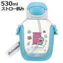 【先着】最大400円OFFクーポン有！ 水筒 530ml ワンプッシュストローボトル DRラインデザイン （ ドラえもん ワンプッシュ ストロー ボトル プラスチック ストロー付き 軽量 直飲み こども マイボトル クリアボトル 透明 クリア シリコン ）【3980円以上送料無料】