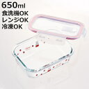 保存容器 650ml ガラス保存容器 M ミッフィー ( ガラス 耐熱ガラス 食洗機対応 電子レンジ対応 オーブン対応 冷凍 冷蔵 密閉 容器 Miffy 4点ロック フタをしたままレンジ キャラクター かわいい )【3980円以上送料無料】