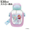 水筒 530ml ワンプッシュストローボトル アナと雪の女王25 ( アナと雪の女王 ワンプッシュ ストロー ボトル プラスチック ストロー付き 軽量 直飲み ...