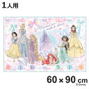 レジャーシート S プリンセス25 ( ディズニー レジャーマット ピクニックシート 幼稚園 保育園 遠足 子供用 一人用 ピクニックマット キッズ 敷物 運動...