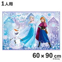 レジャーシート S アナと雪の女王25 ( ディズニー レジャーマット ピクニックシート 幼稚園 保育園 遠足 子供用 一人用 ピクニックマット キッズ 敷物 ...