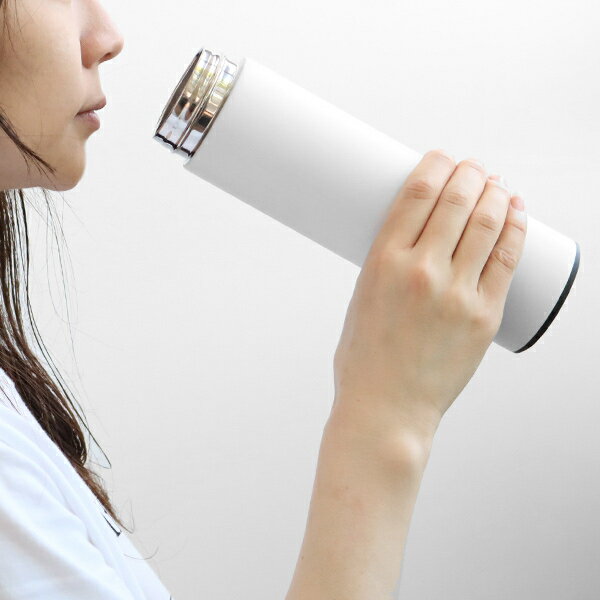 水筒 ステンレス 携帯マグボトル ミスティック 450ml （ ボトル 保温 保冷 ステンレスボトル コンパクト 直飲み マイボトル スリム ステンレス製 ダイレクトボトル シンプル オフィス ） 【3980円以上送料無料】