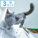 キャットステップ 3枚セット Cat Steps 壁 ワイドステップ 透明 クリア キャットウォーク ( 送料無料 キャットタワー ネコ ステップ ねこ 猫 壁...