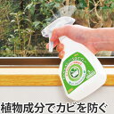 カビ取り カビが生えにくくなるスプレー ( カビ対策 カビ退治 防カビ カビ取り剤 クリーナー 風呂 浴室 安心 安全 ) 【3980円以上送料無料】