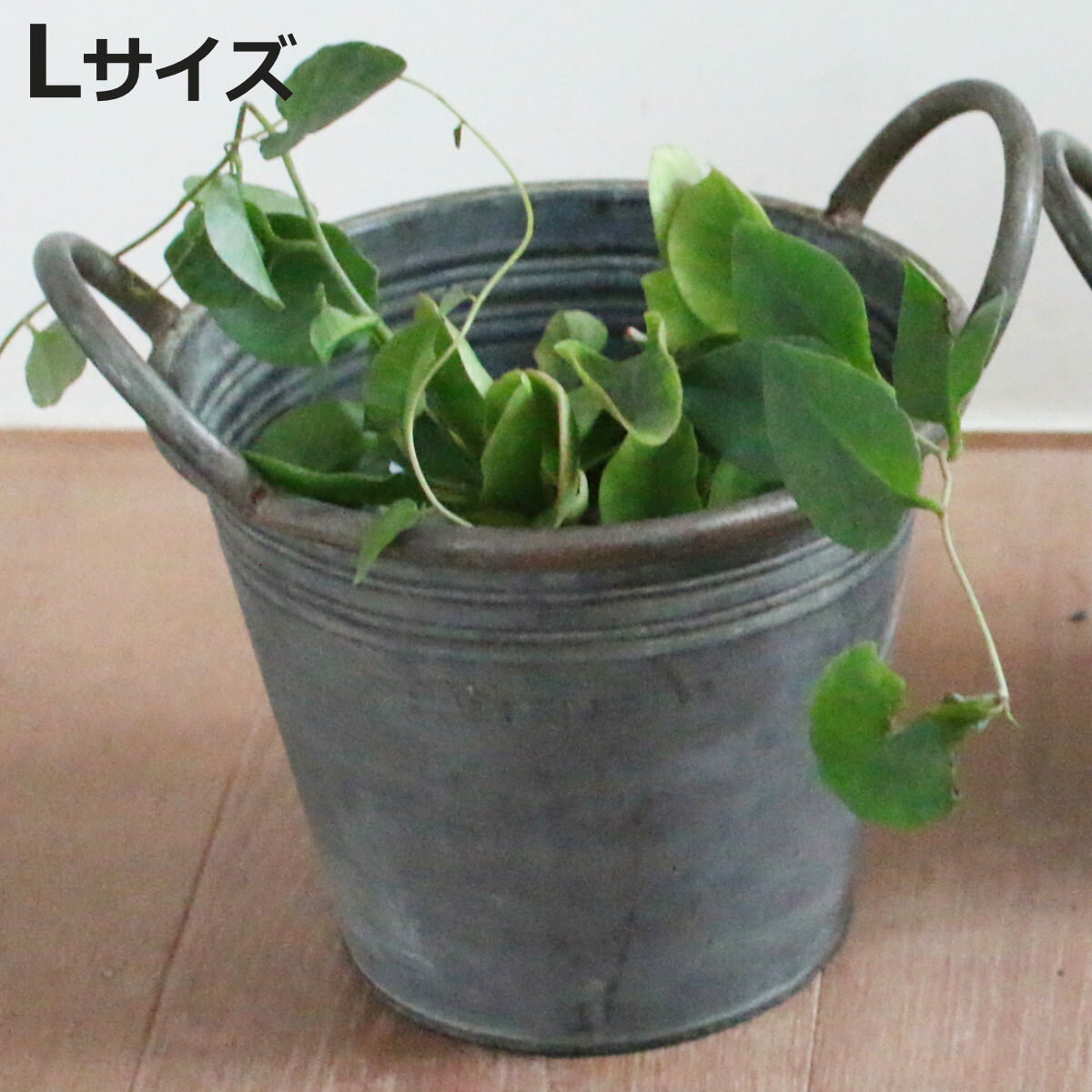 植木鉢 ブリキハンドルポット L （ プランター プラントポット 植物用ポット 鉢カバー ブリキポット ブリキ鉢 植物 花 ドライフラワー 観葉植物 多肉植物 園芸 インテリア 収納 ブリキ 丸型 PVCポット付き ）【3980円以上送料無料】