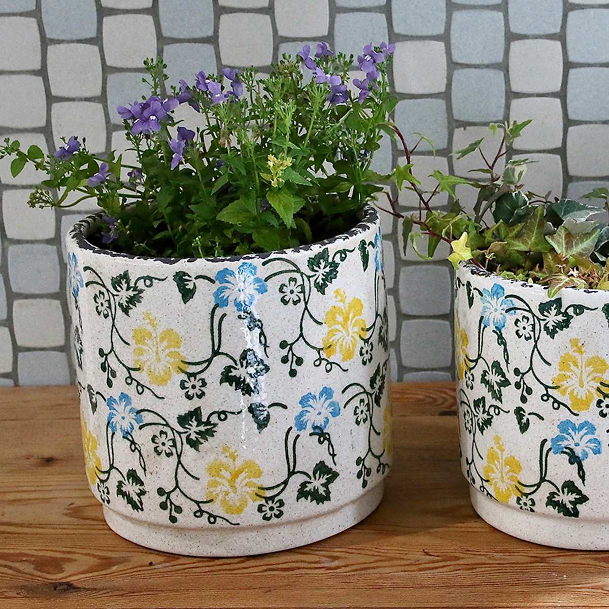 ポット ブルーミー セラミックポット ミックス Lサイズ ( 植木鉢 フラワーポット プラントポット プランターポット 鉢 鉢植え セラミック インテリア 植え替え おしゃれ 観葉植物 多肉植物 サボテン 園芸 水抜き穴 )【3980円以上送料無料】 [3]