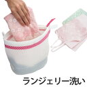 洗濯ネット ランジェリー洗い専用ネット キャッチフック付 ( ランドリーネット 洗濯用品 ネット ランジェリーネット ブラジャーネット ランドリー用品 洗濯 ラ...