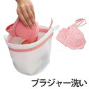 洗濯ネット ブラジャー洗い専用ネット キャッチフック付 ( ランドリーネット 洗濯用品 ネット ランジェリーネット ブラジャーネット ランドリー用品 洗濯 ラン...