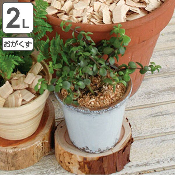 消臭 ヒノキ HINOKI POWDER おがくず 2L （ ウッドパウダー 土かくし ガーデニング 天然木曽ヒノキ 観葉植物 檜 ひのき ） 