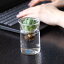 花瓶 MINI BULB VASE 水栽培ガラスベース クリア 8.5cm ( 花器 フラワーベース 花 グリーン 栽培 卓上花瓶 リボベジ 一輪挿し ミニ 小さい 二重 ハーブ インテリア オブジェ ガラス製 飾る フラワーグラス 水栽培 水耕栽培 透明 ) 【3980円以上送料無料】 825円