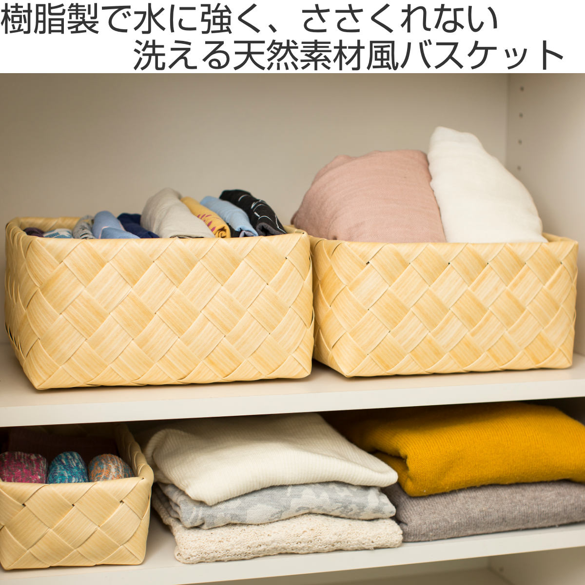 サンプル画像2