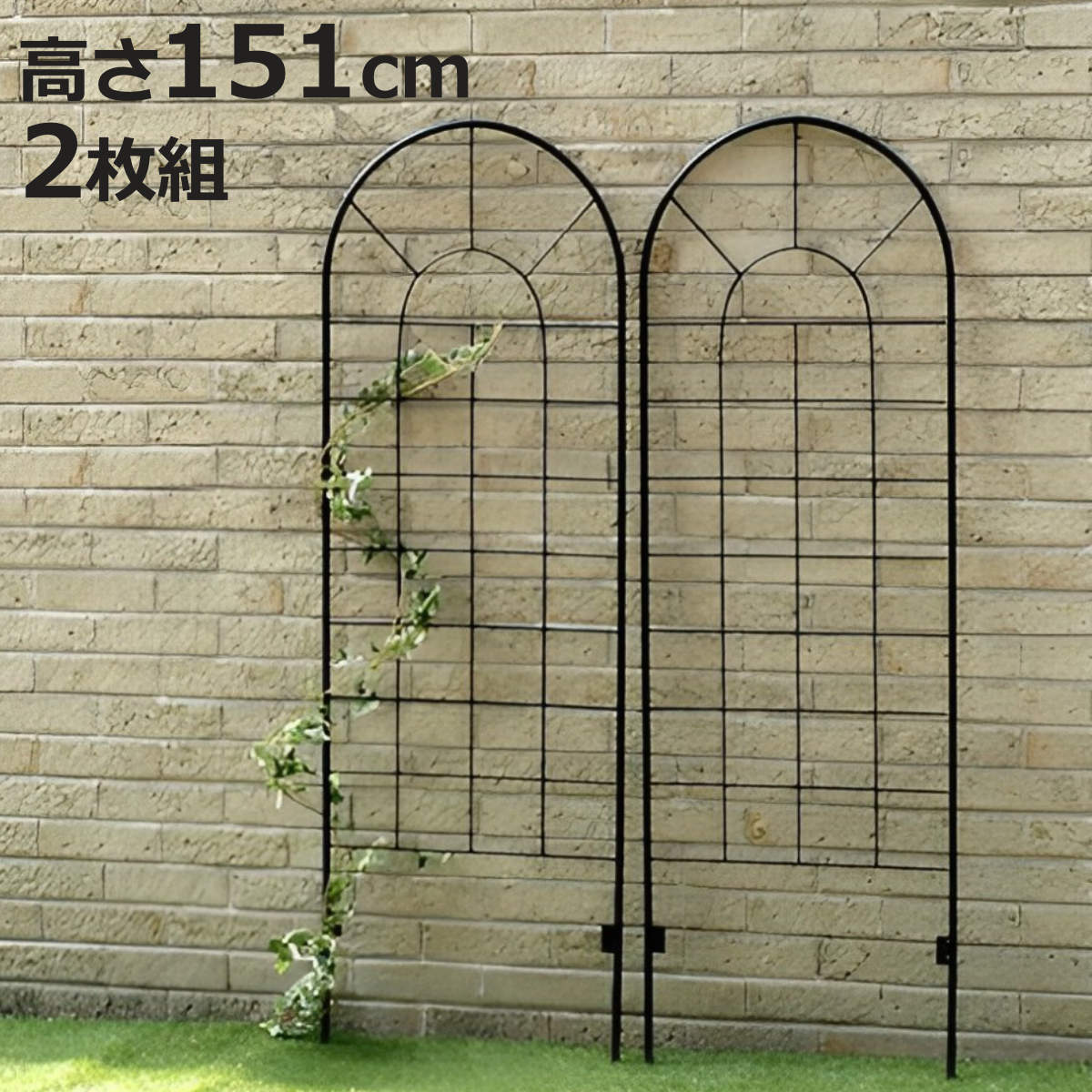 フェンス アイアンフェンス ロータイプ 高さ151cm 2枚組 （ ガーデンフェンス インテリア ガ ...