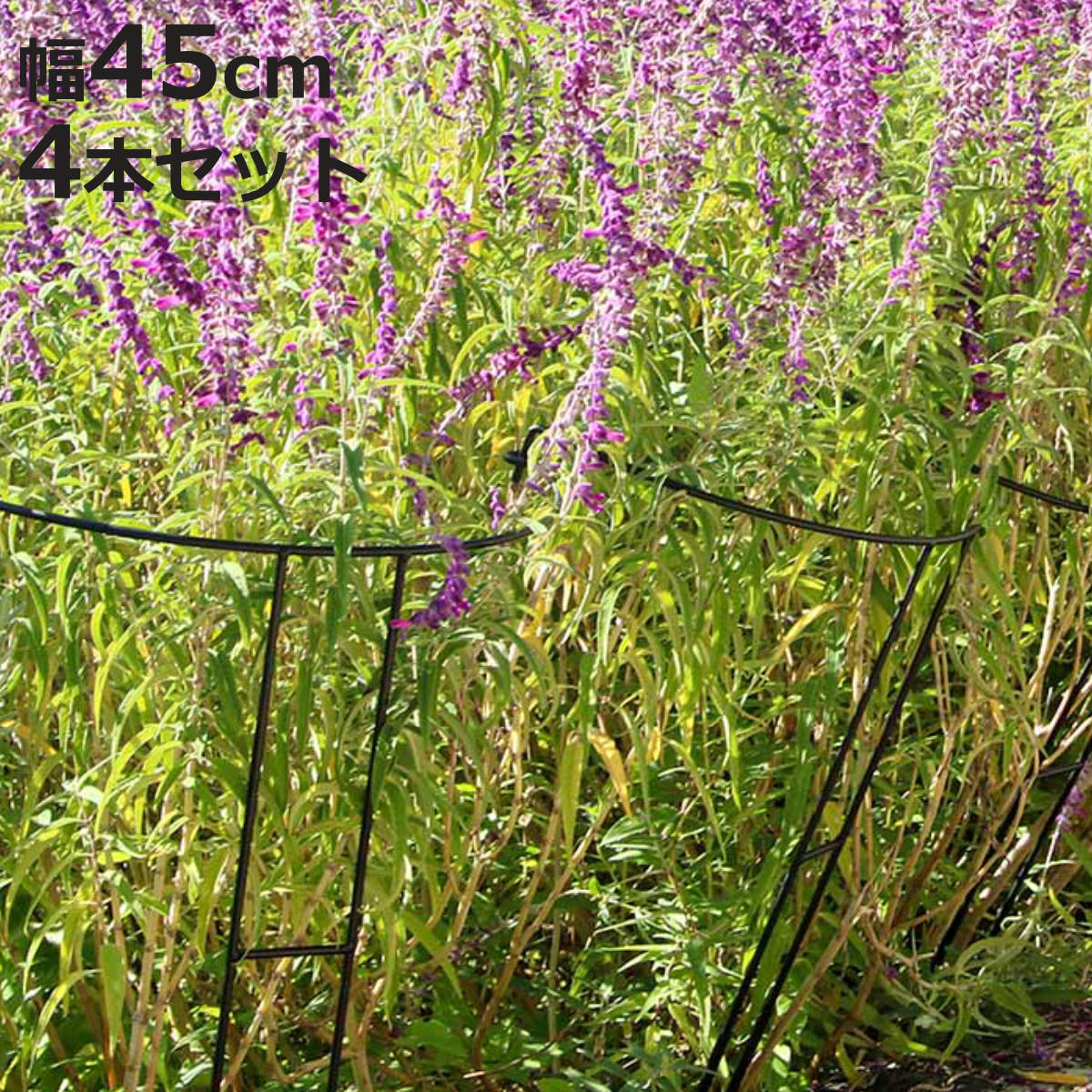 アイアン製植物サポーター幅45 4本セット （ 支柱 フラワースタンド 花壇 花 植物 支える サポ ...