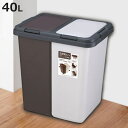 ゴミ箱 40L 2分別式ペール 横型 ( ごみ箱 20L×2 2分別 分別 大容量 ふた付き セパレート プッシュふた キッチン 分別ステッカー付き 袋止め付き...
