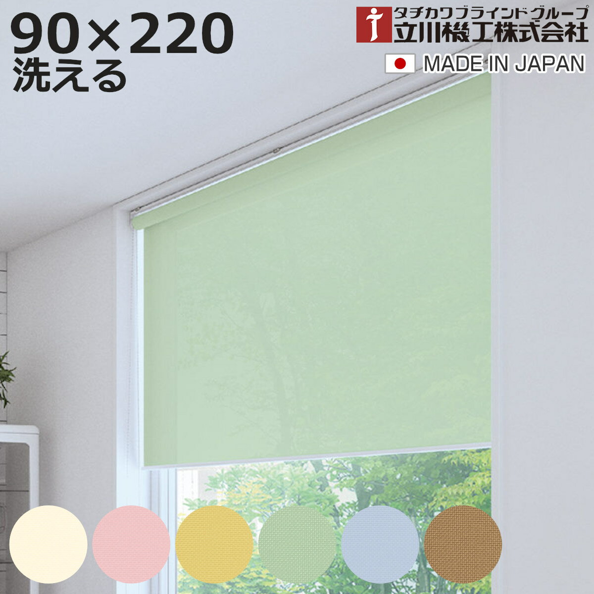 立川機工 ロールスクリーン 無地ウォッシャブル 90×220cm ティオリオ （ ロールアップカーテ ...