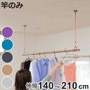 室内物干し 物干し竿 吊り下げ型物干し ドライウェーブ インテリア物干し 吊り下げ ( DRY・WAVE 物干し 竿 伸縮 1本 竿のみ 140〜210 日本製...