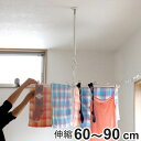 室内物干し 吊下げ型室内物干 長さ60cm〜90cm 4段階伸縮 ドライ・ウェーブ ( DRY・WAVE 物干し 洗濯 伸長 吊り下げ ポール型 ランドリーグッ...