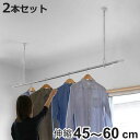 室内物干し 吊下げ型室内物干 長さ45cm~60cm 伸縮 2本セット ドライ・ウェーブ ( DRY・WAVE 物干し 洗濯 伸長 吊り下げ ポール型 ランドリ...