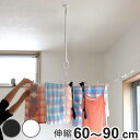 室内物干し 吊下げ型室内物干 長さ60cm〜90cm 伸縮 ドライ・ウェーブ ( DRY・WAVE 物干し 洗濯 伸長 吊り下げ ポール型 ランドリーグッズ 取...